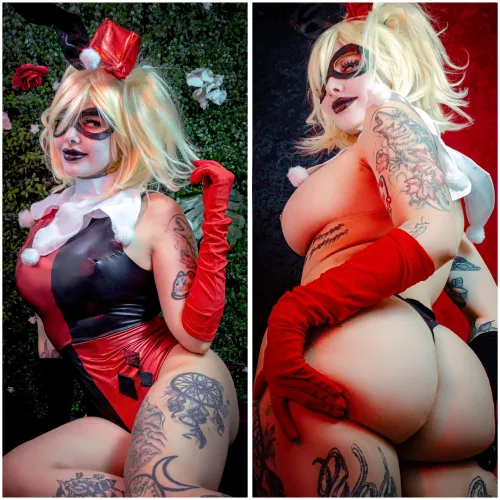 Harley Quinn Bunny