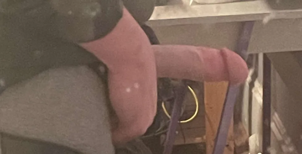 18M4F cub looking for his cougar 6'4 and hung,