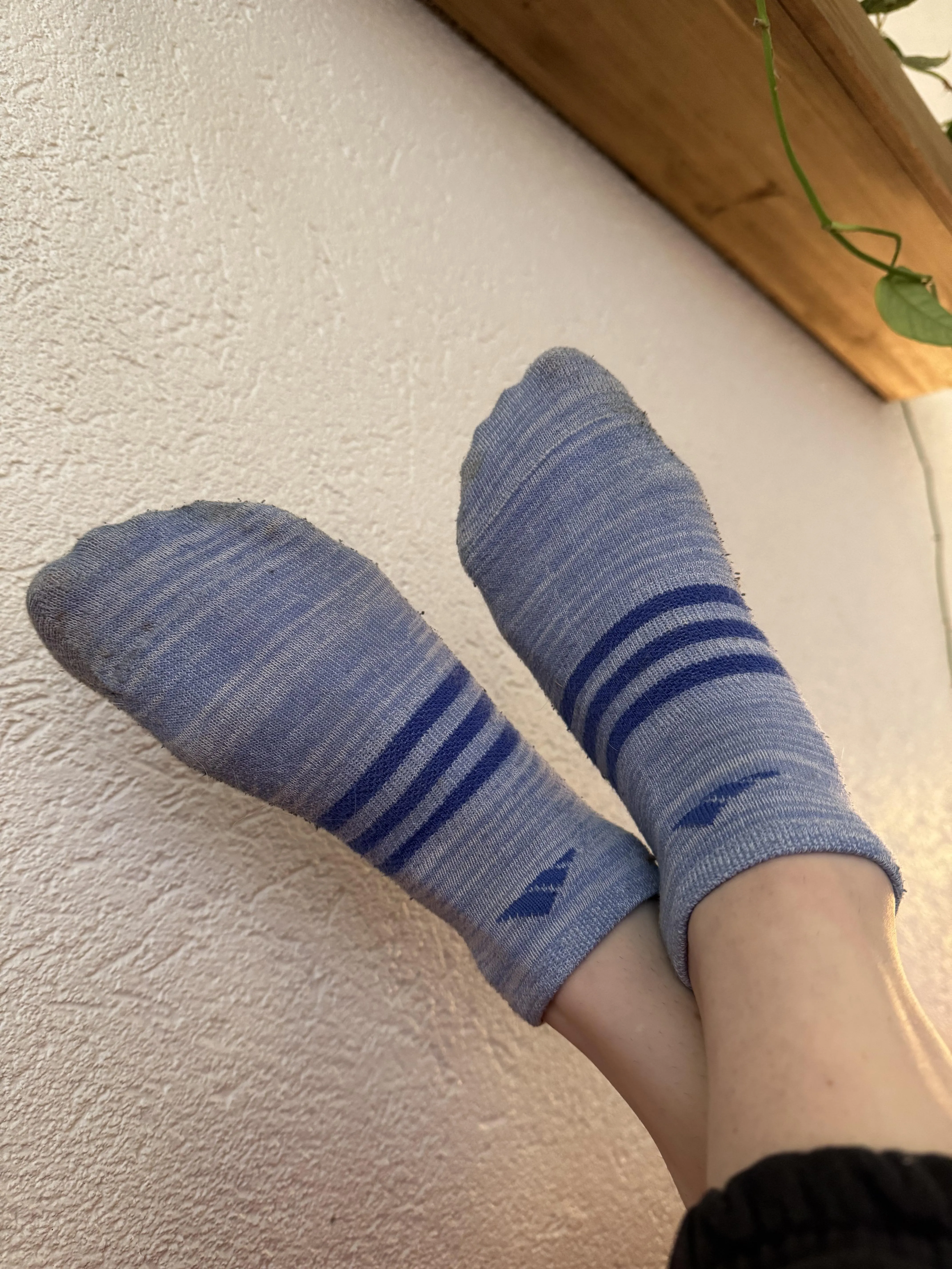 About to head to the gym… who wants my socks when I’m done?