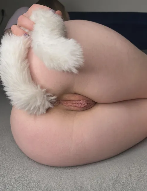 Close-up of an  flower ready to be eaten