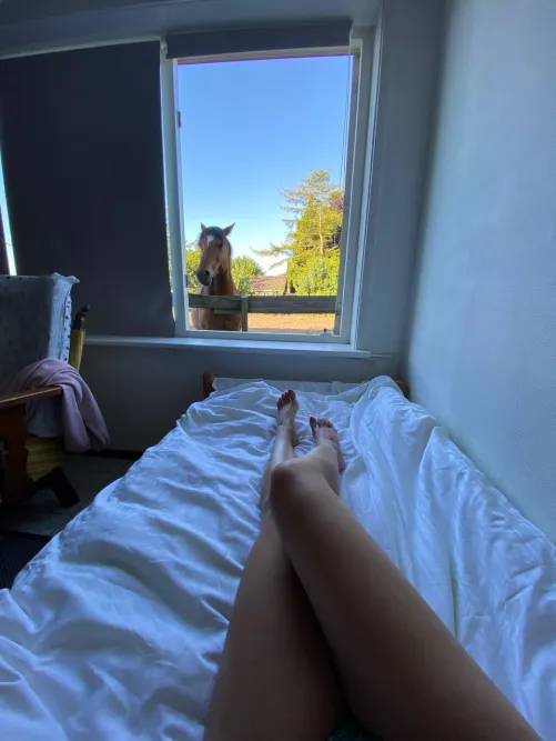 I forgot to close the window before I went to bed, and he came in. Maybe I shouldn't sleep naked anymore?