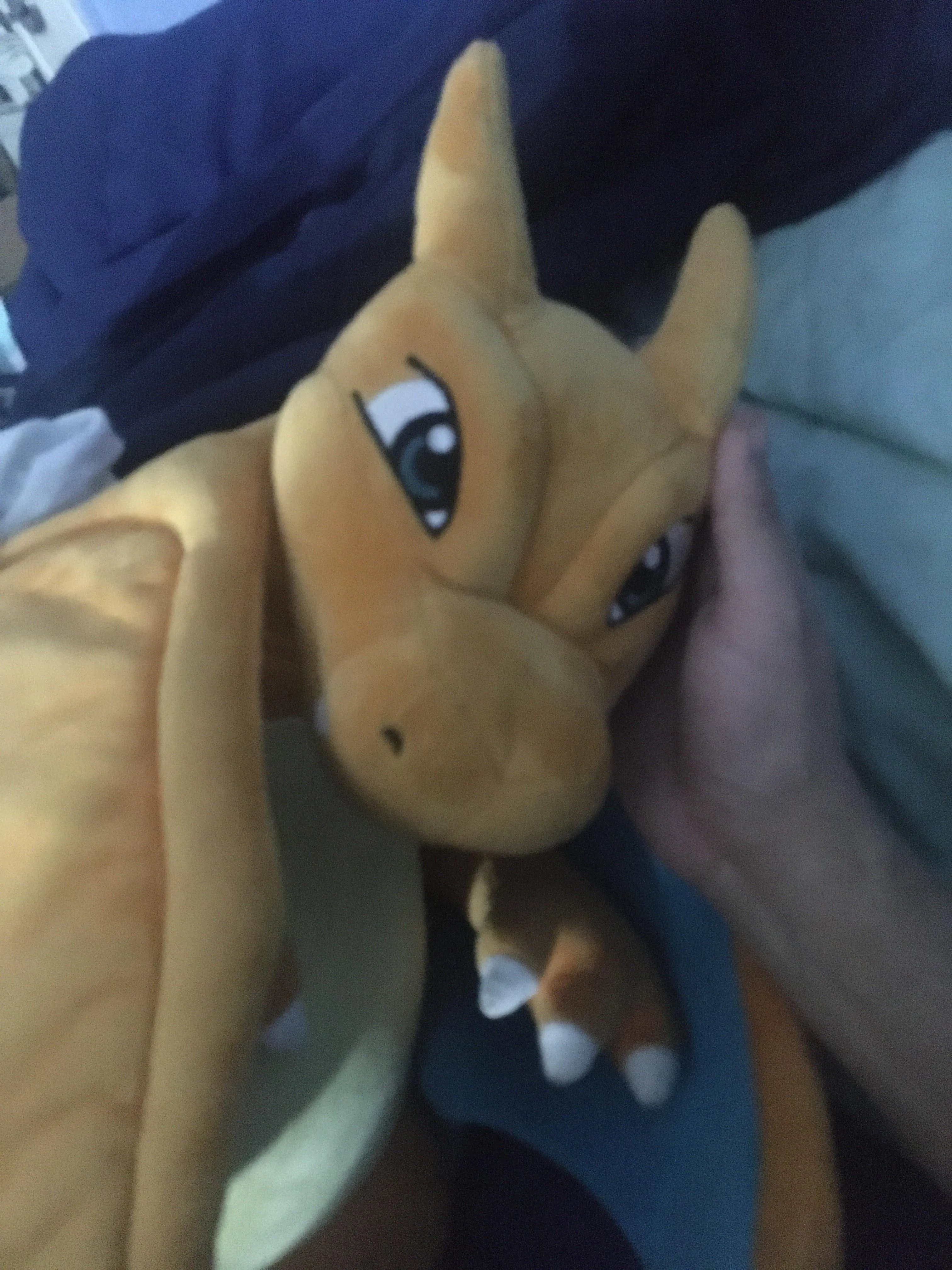 I love cuddling with Scarlet, it also gives me the chance to rub her soft belly