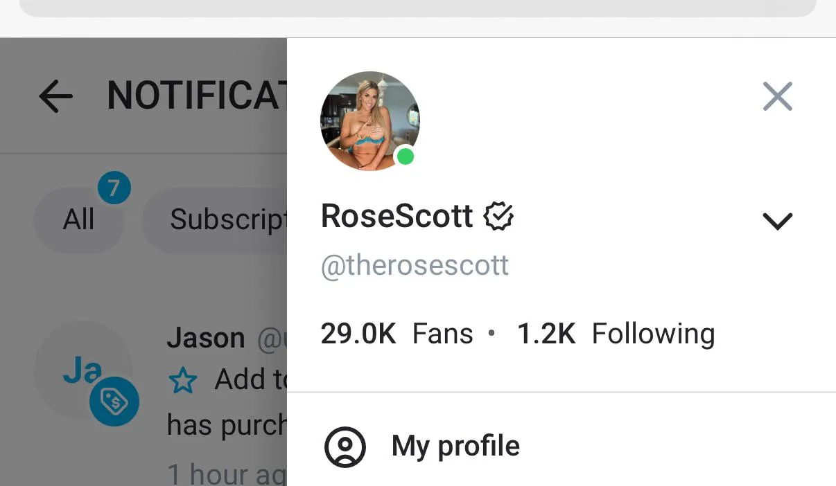 Let me shout you out! 29k fans on my page! 📃 top OFs model and well known by a lot of mainstream talent!