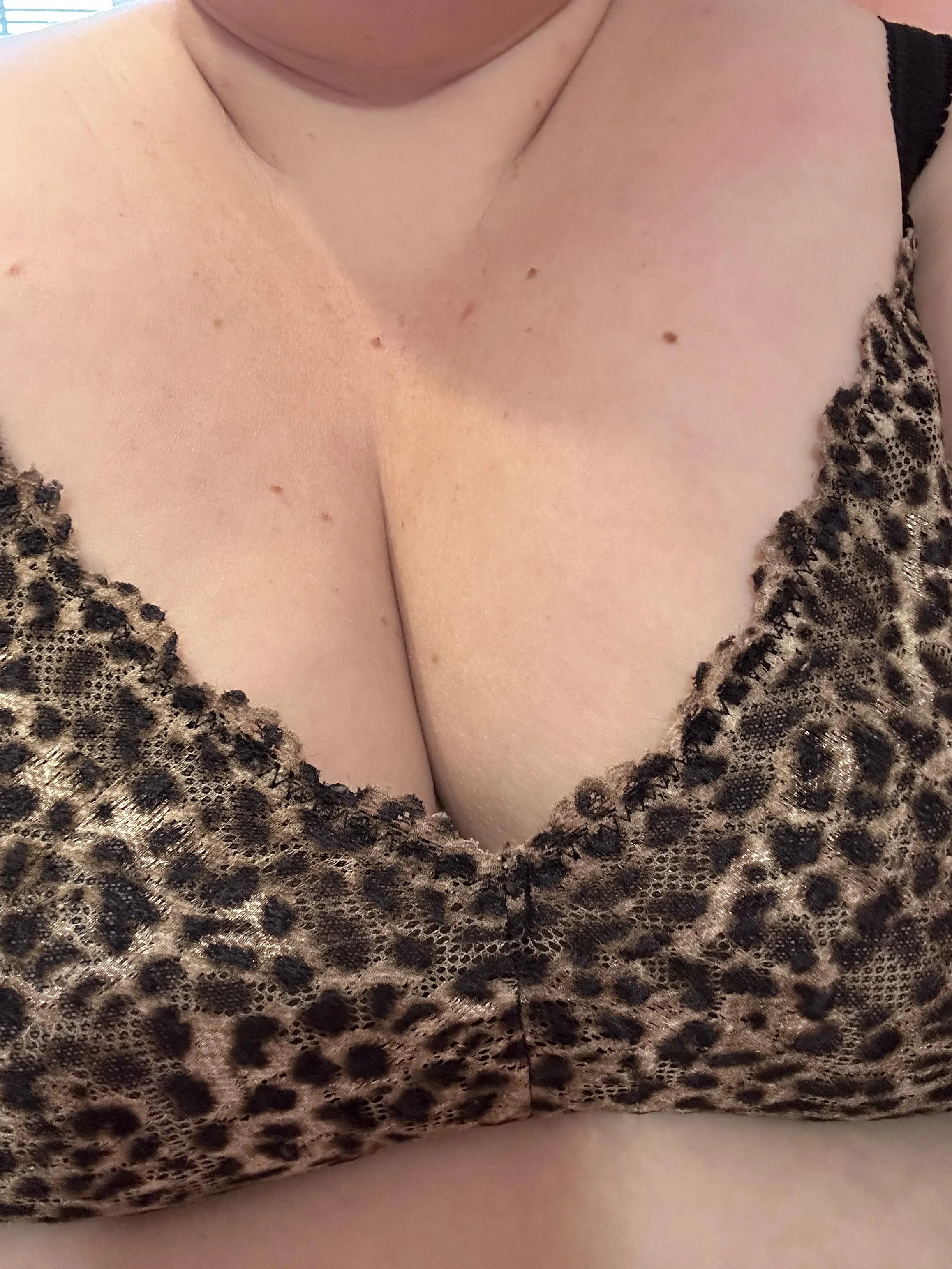 Animal print for today