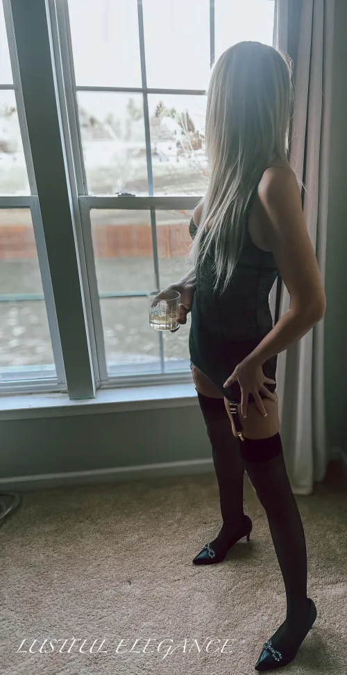 Can you find the bows🎀