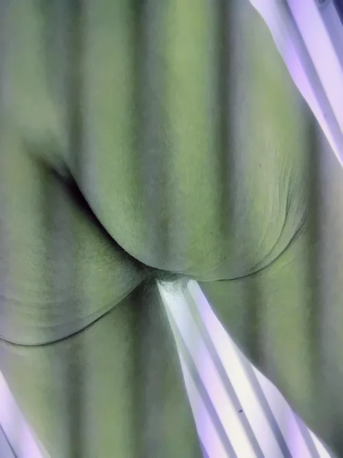 Squeeze My Sweet Ass