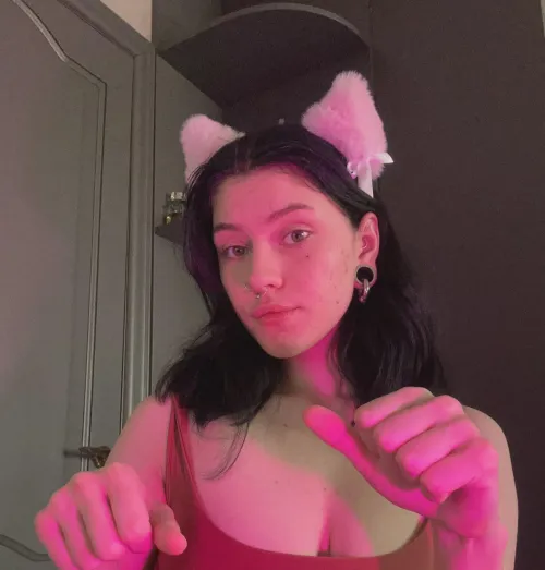 a mischievious cat will always keep you entretained