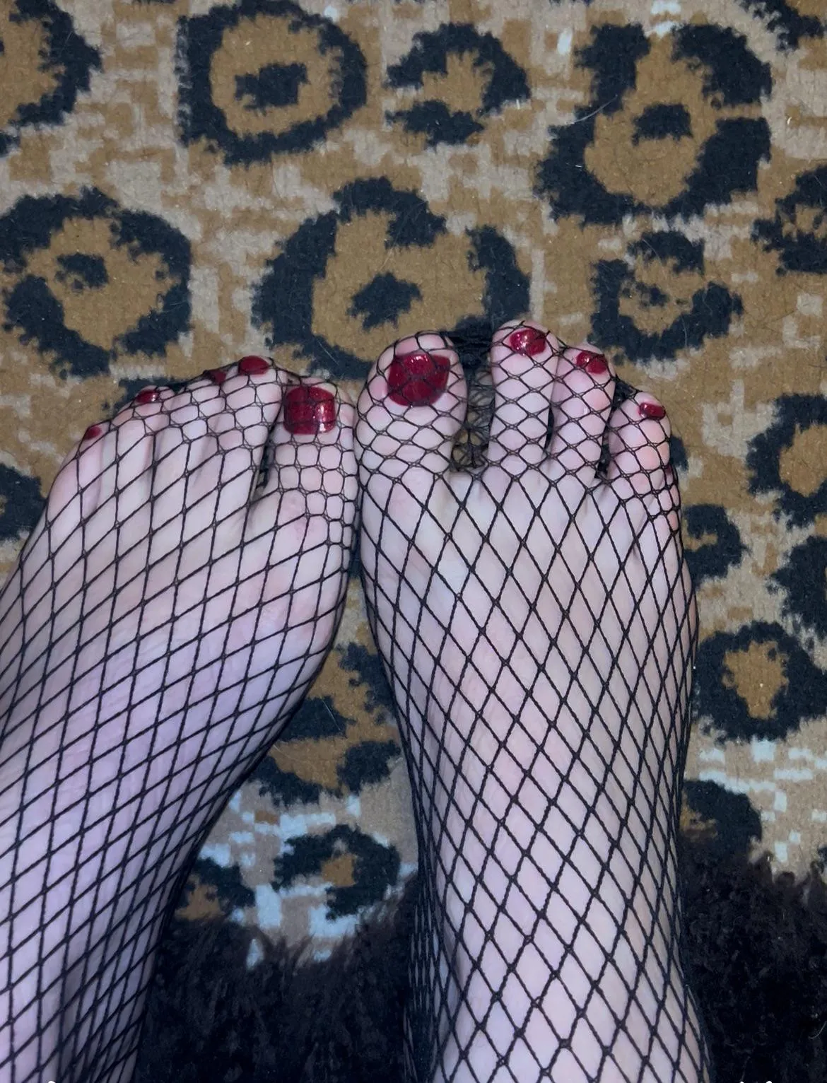 Fresh pedi in fishnets