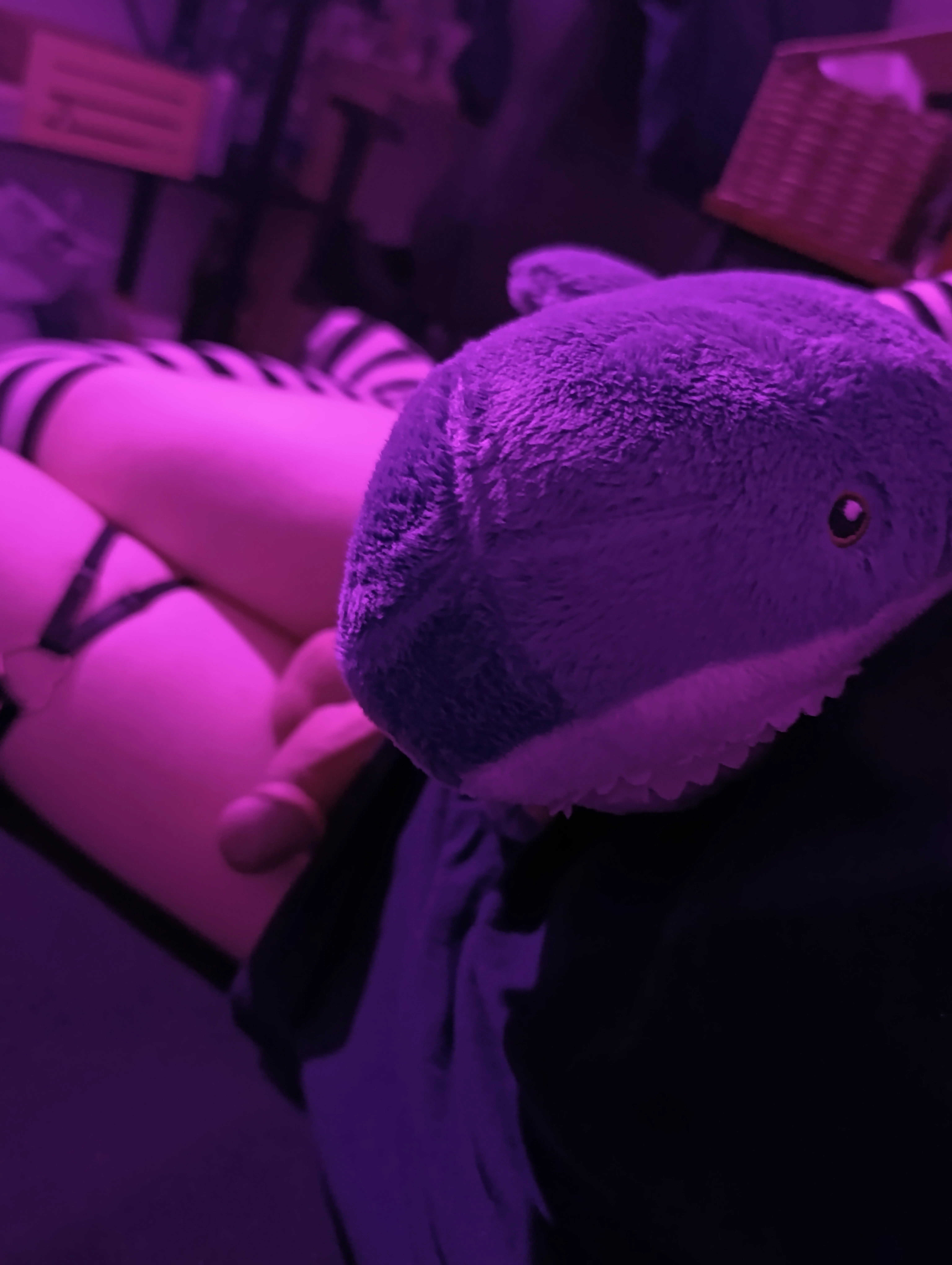 Nach 21 Uhr ist immer knuddelzeit :3