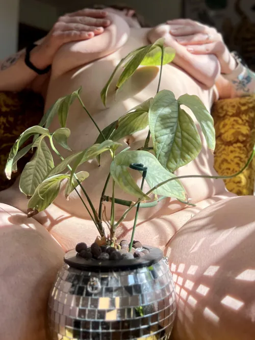 Okay I'm wearing my green