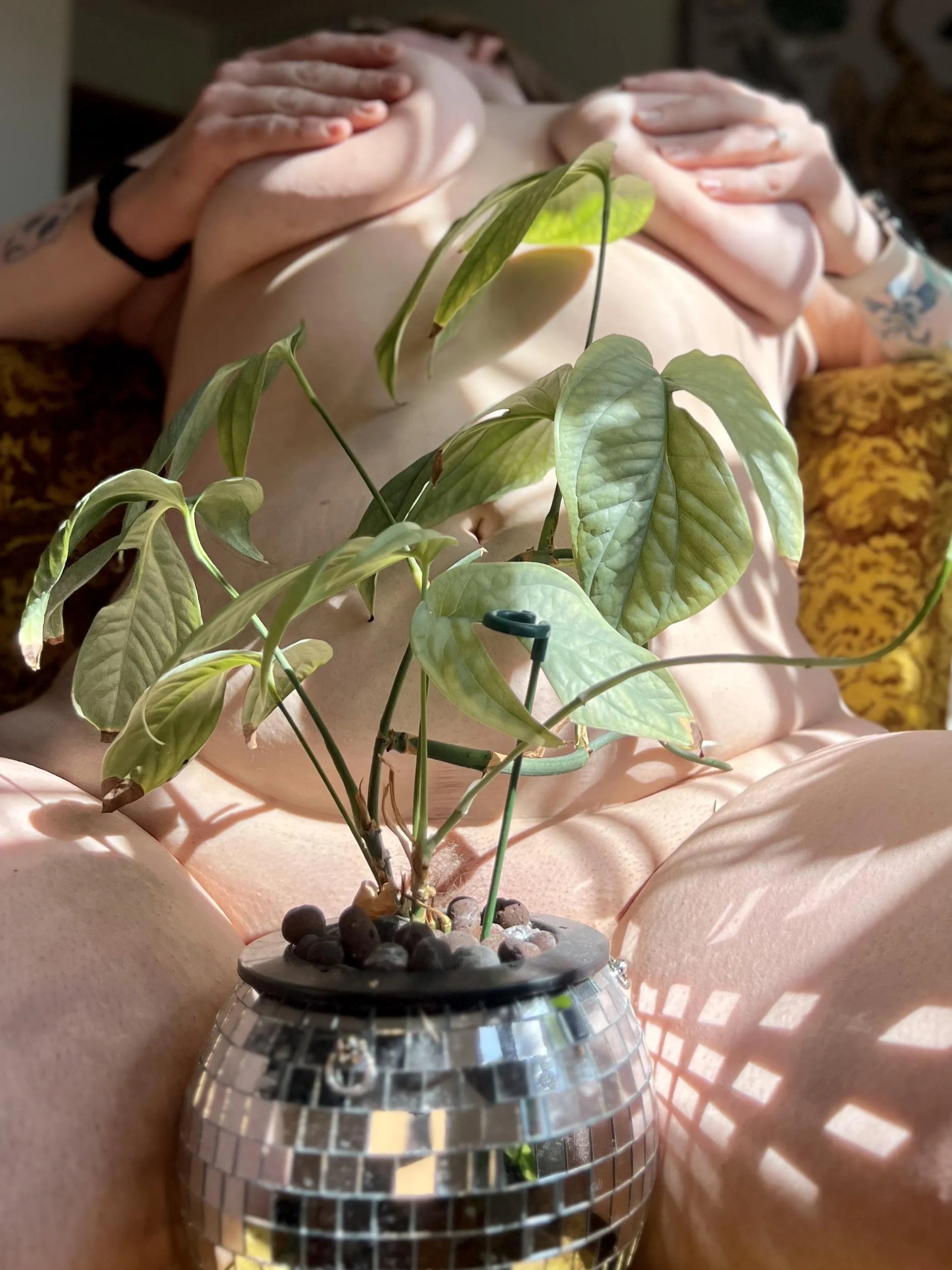 Okay I'm wearing my green