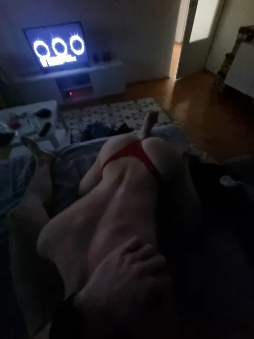 Vă doresc o seară!