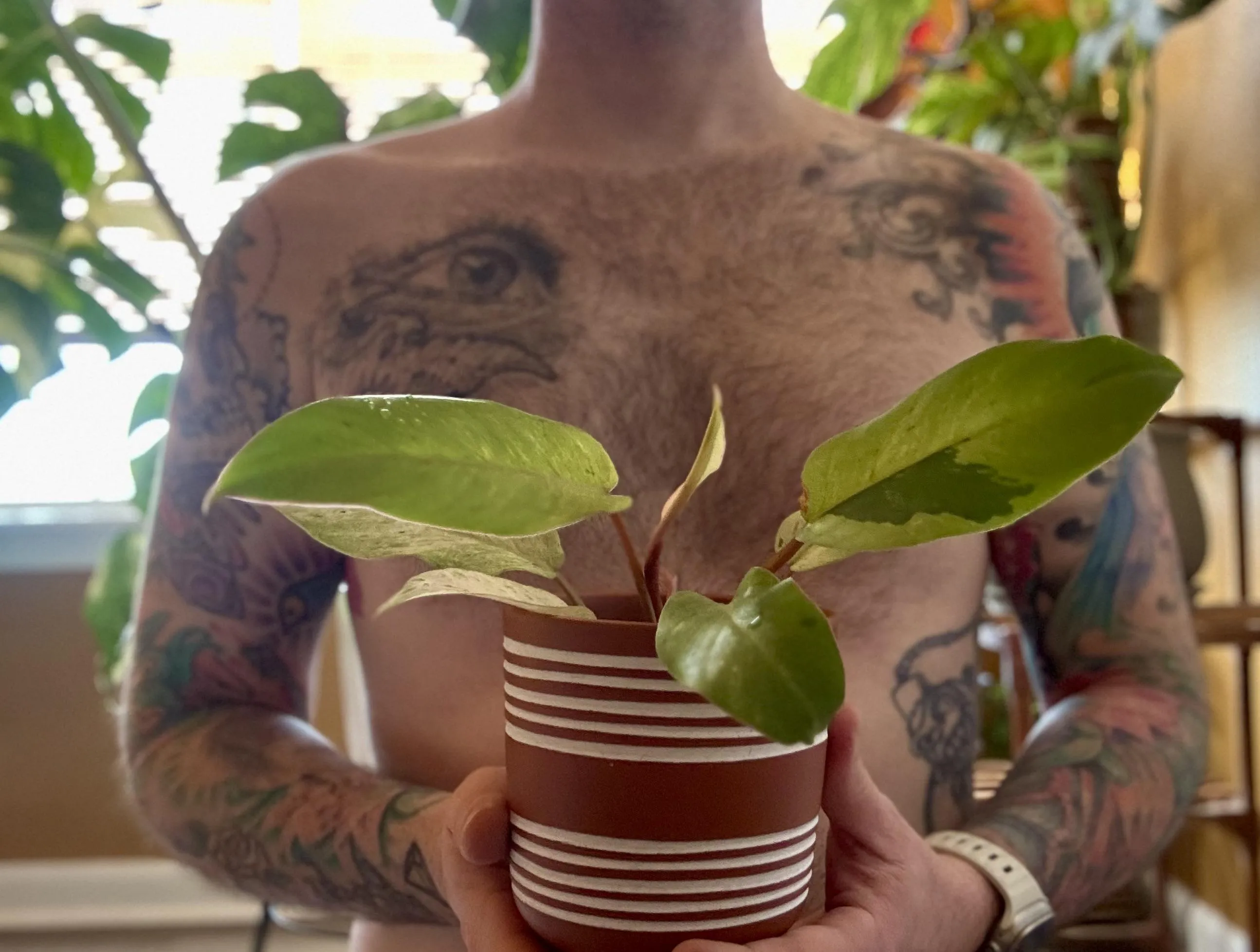 Watering Sunday with some growth