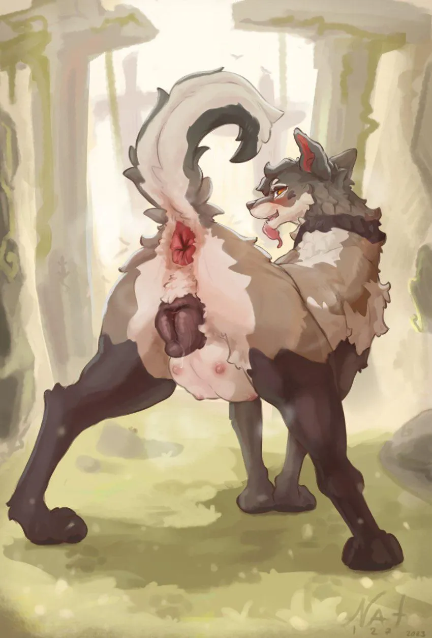 [F4M] looking for a big cocked owner to plow my little dog pussy! (You need a ref)