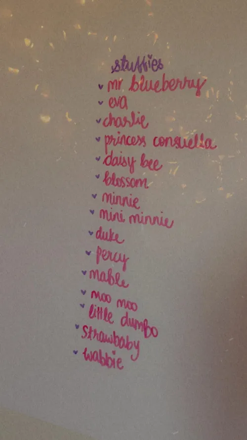 i got a new whiteboard so i wrote all my stuffie names🧸💗