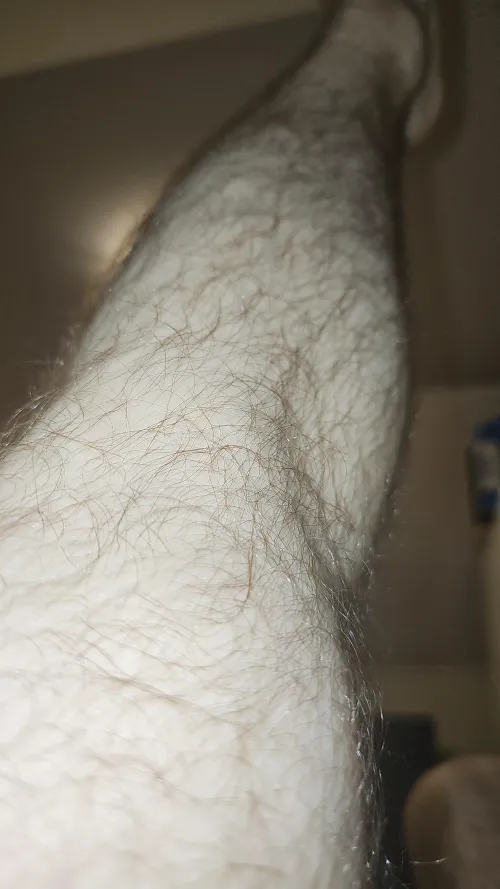 Im 28 i have hairy legs fetish PM me