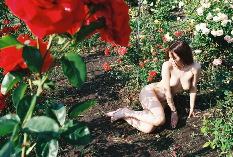 It's fun in my garden