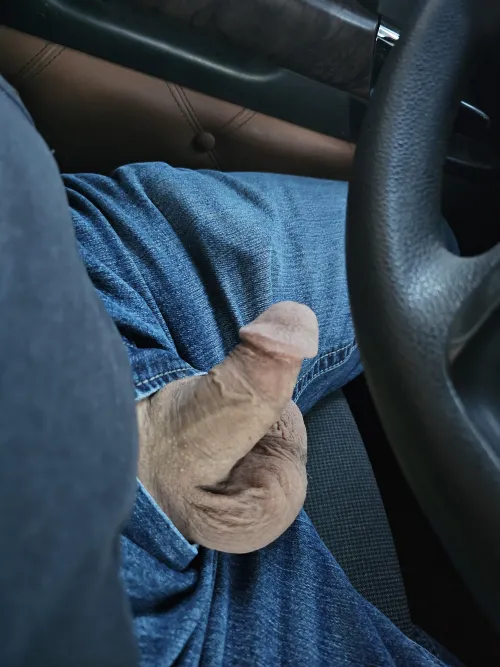 Need a playmate (44)