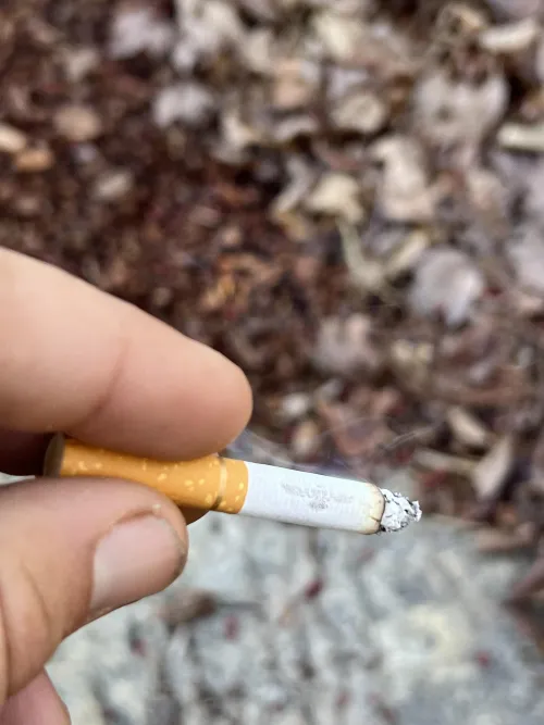 Turquoise American spirits are by far my favorite of their blends.