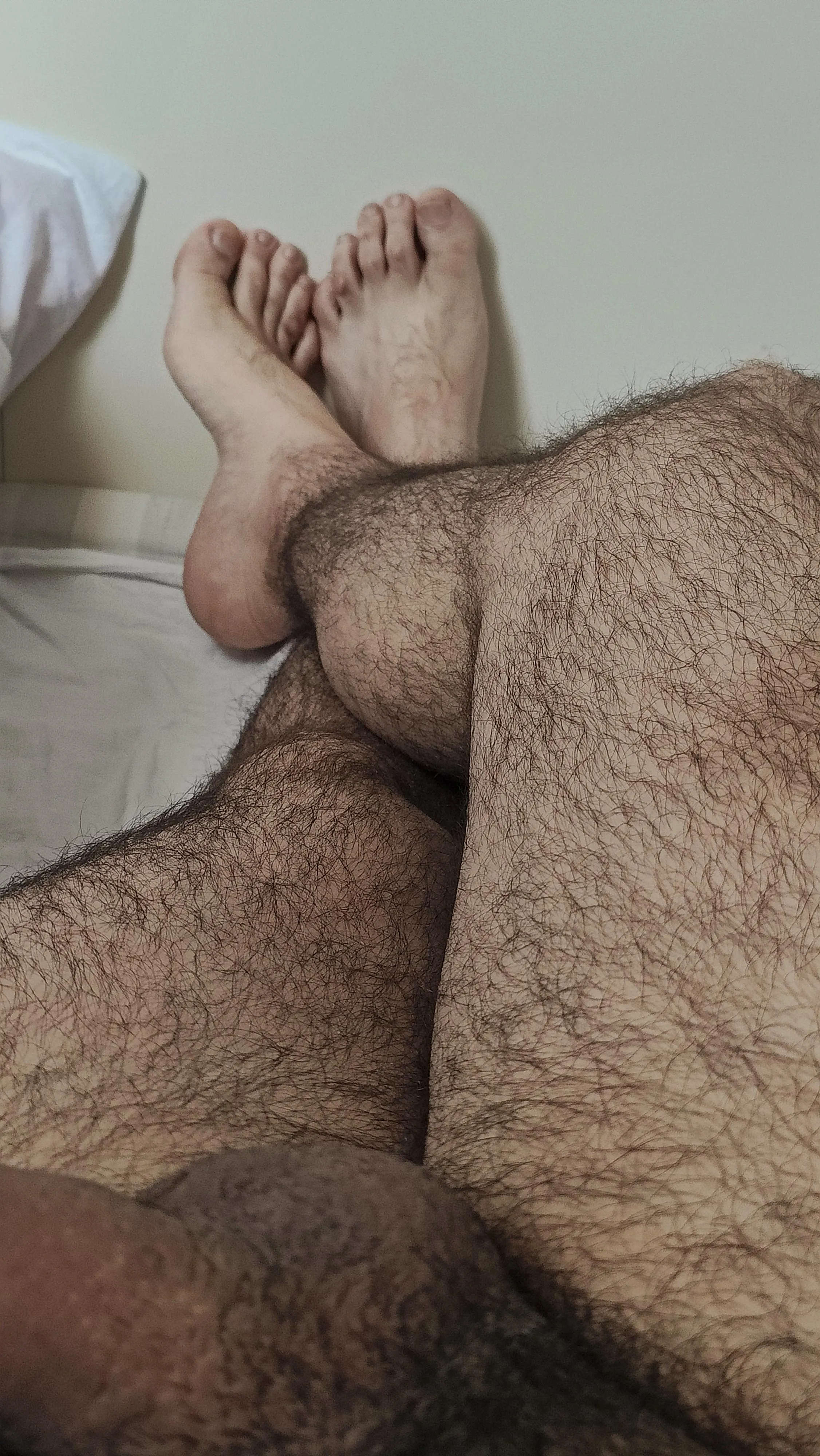 what are you looking?