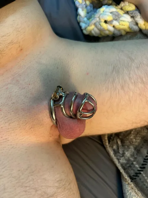 First cage ;)