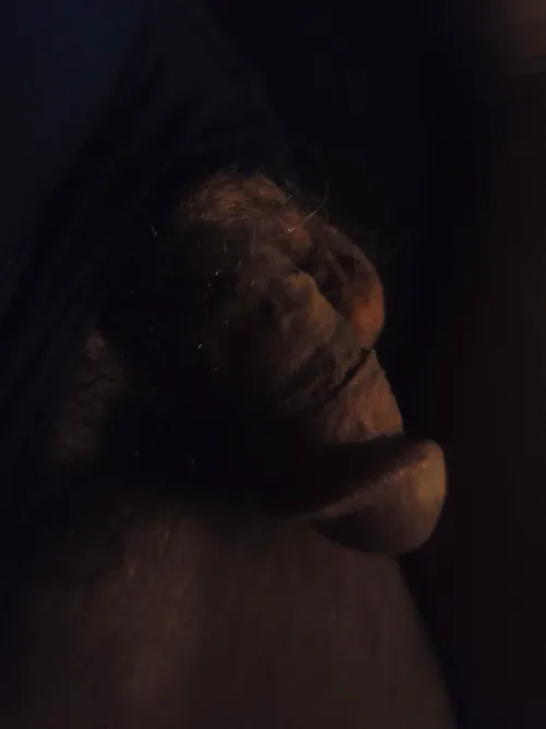 Horny while everyone is asleep (53)