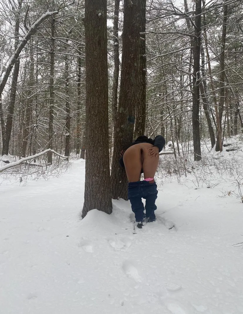 Spread me in the woods