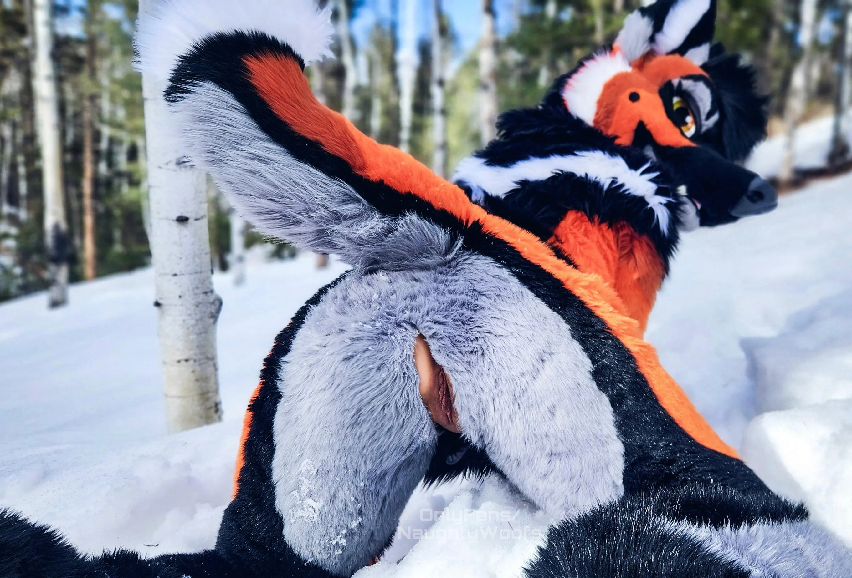 Spring is in 3 days.. 😈