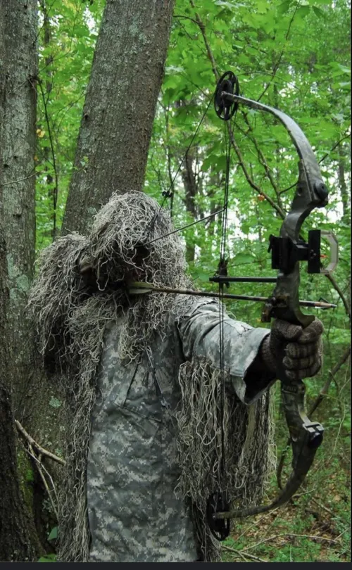 The Head of State and Pirate hunting together