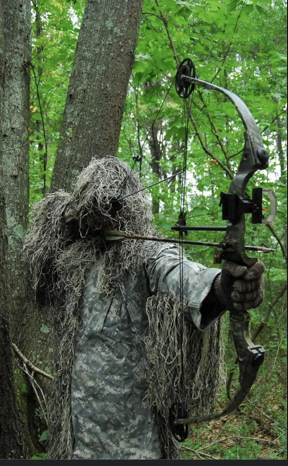 The Head of State and Pirate hunting together