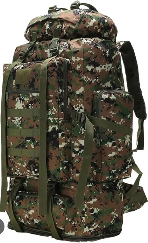 The Head of State and Pirate hunting together (continued).