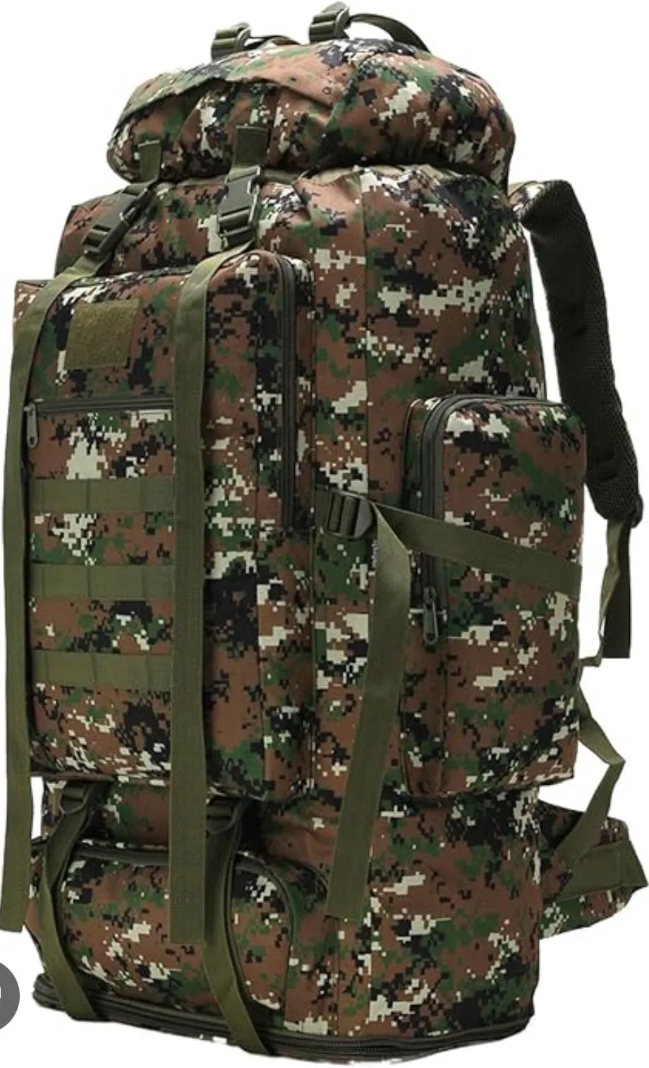 The Head of State and Pirate hunting together (continued).