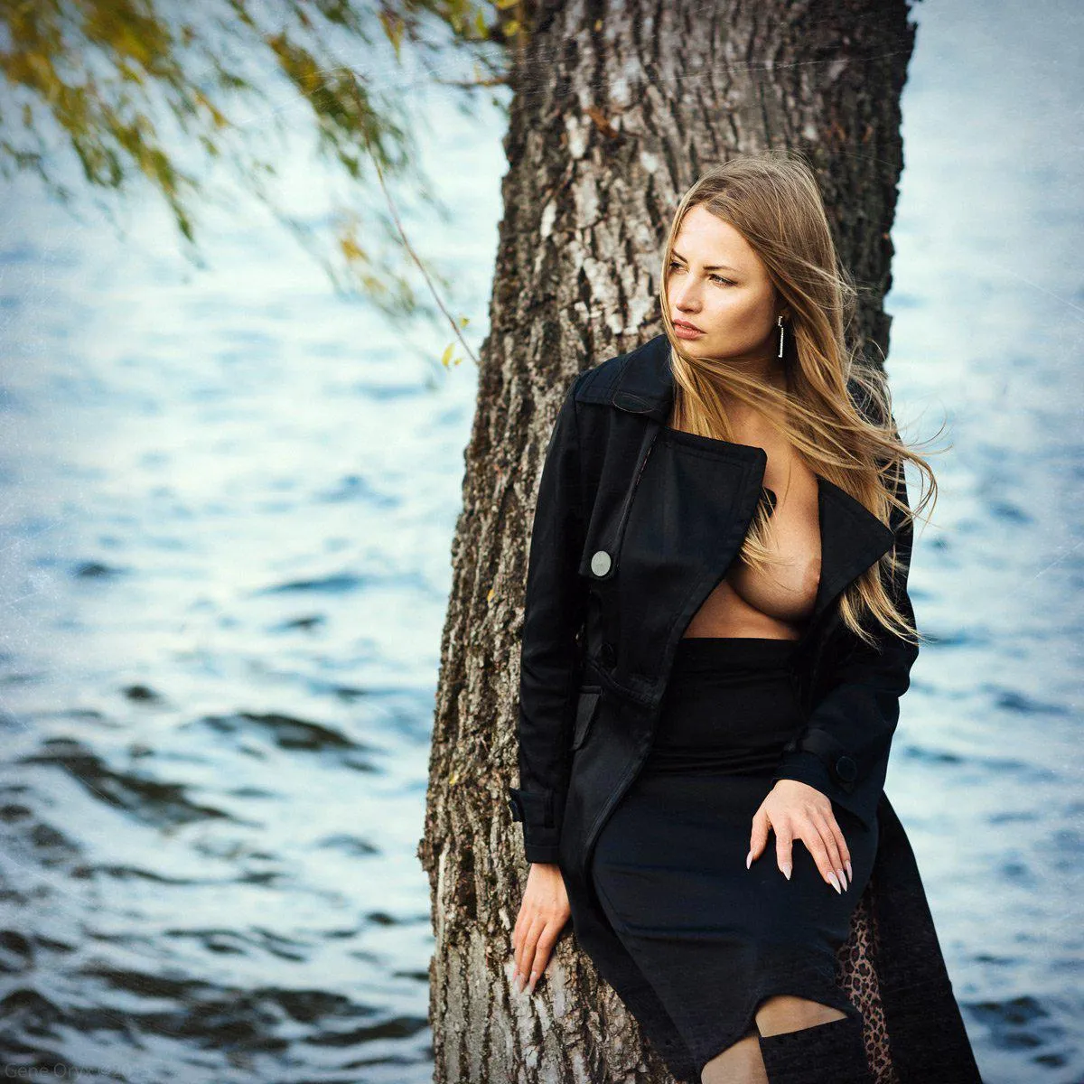 windy day by the charles river