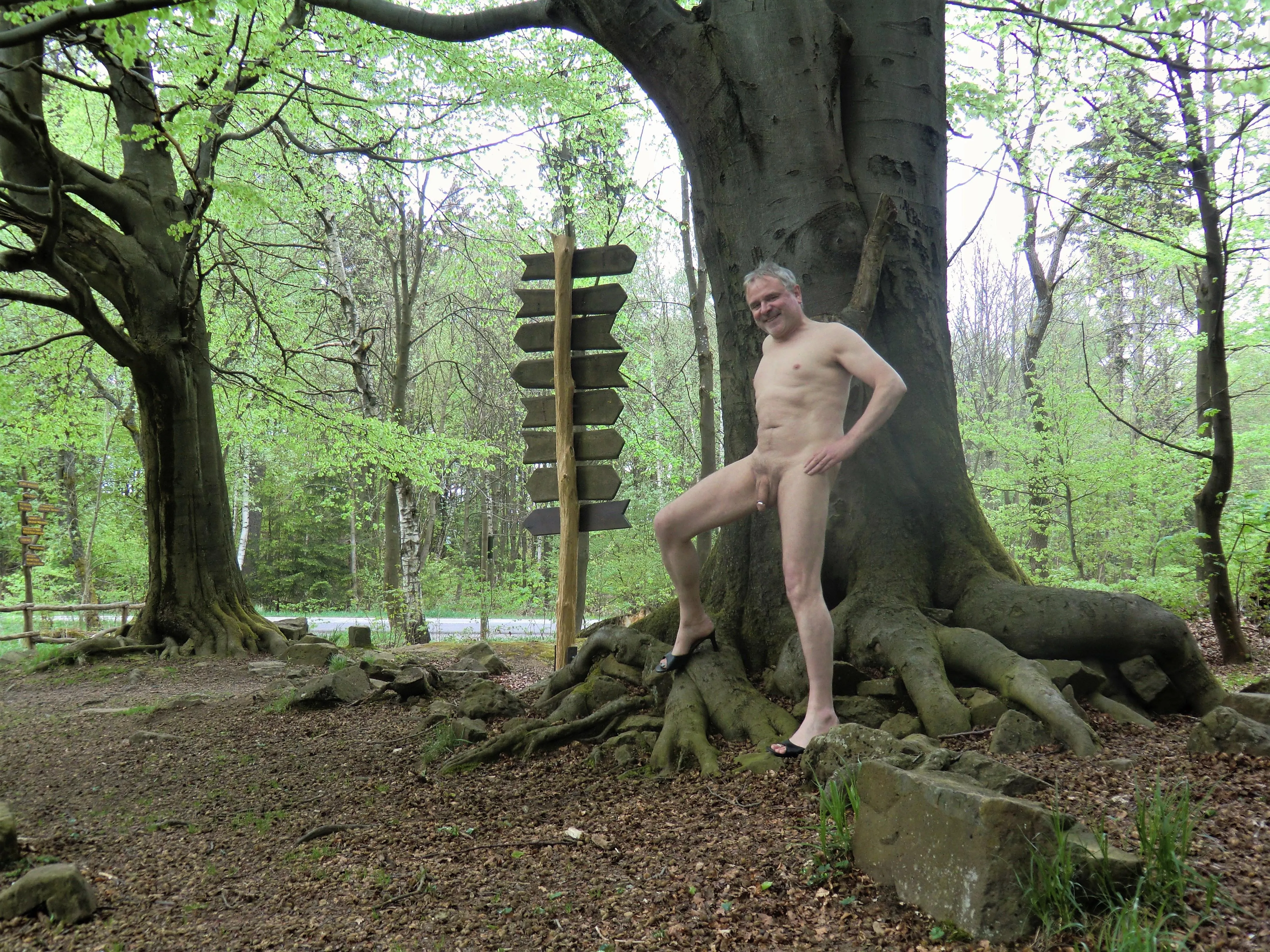 In which direction should I go?