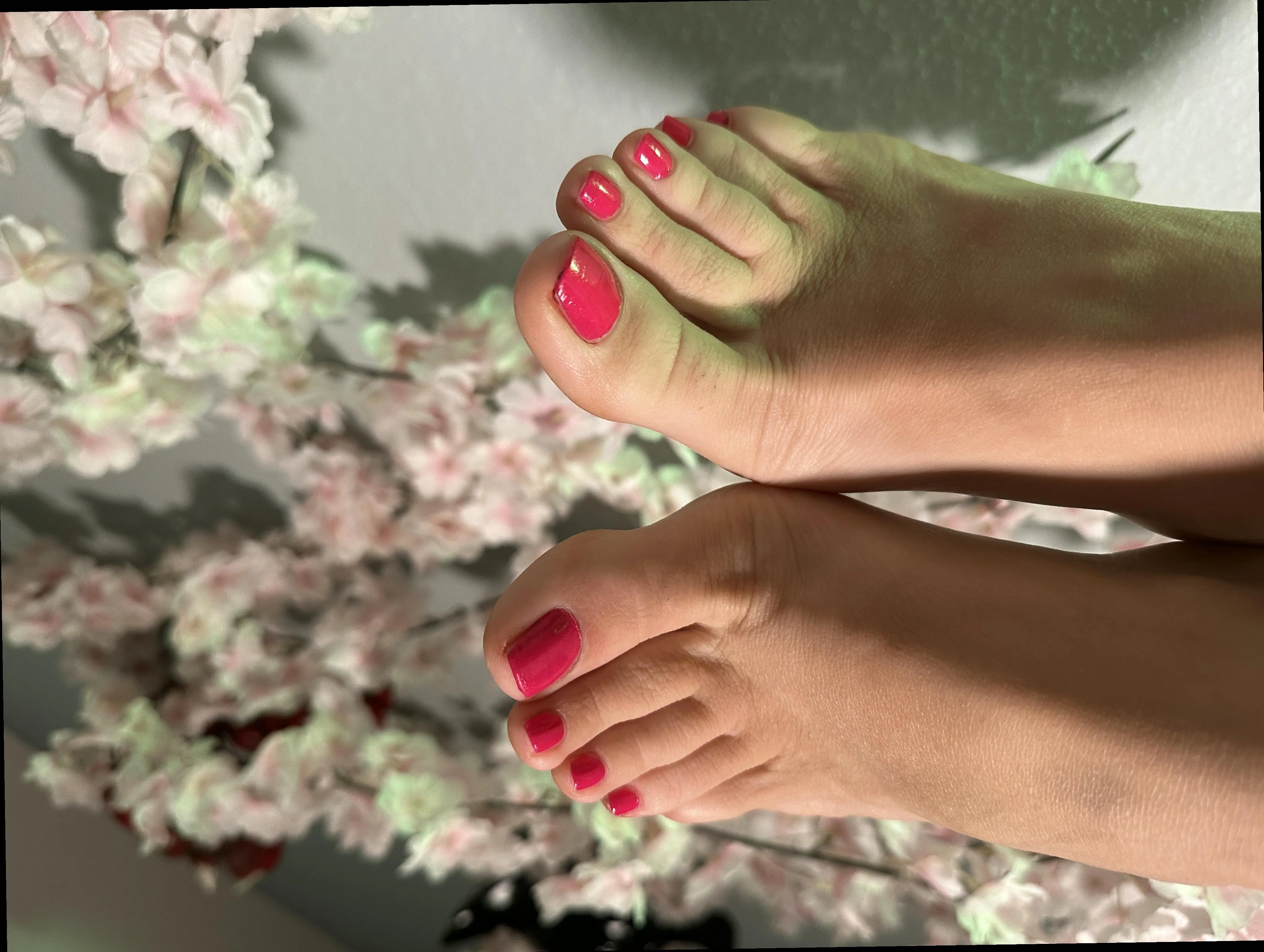 They’re your delight