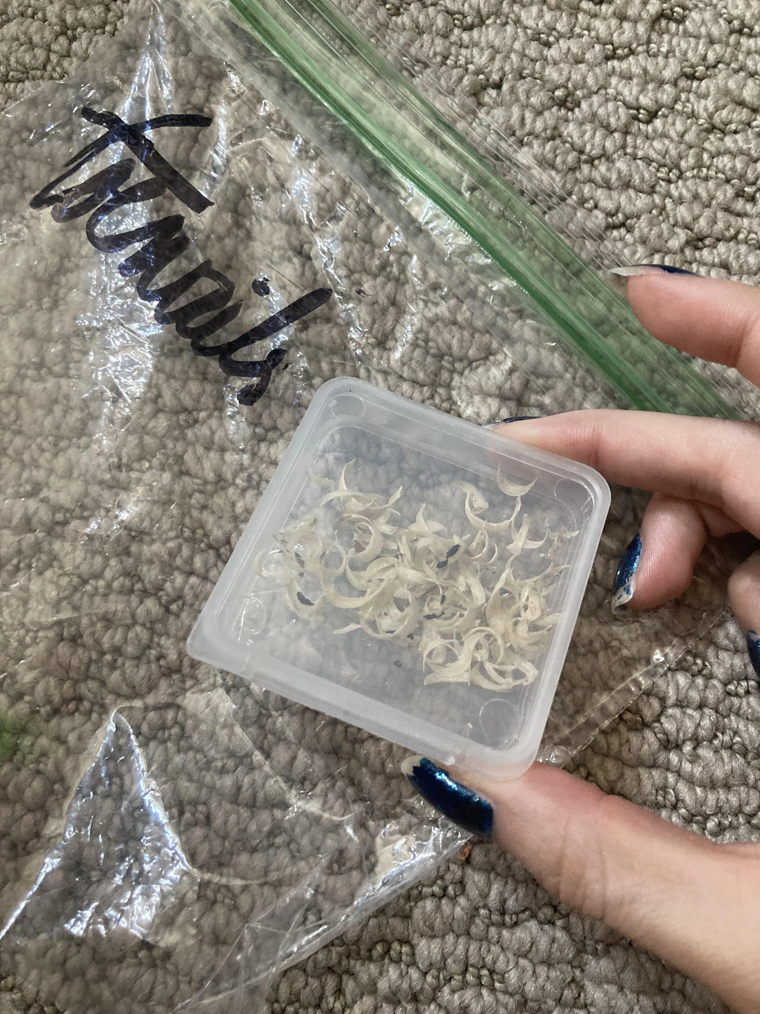 Vial of toenails available now. Open to offers!~ [Selling] used items, digital, and vials