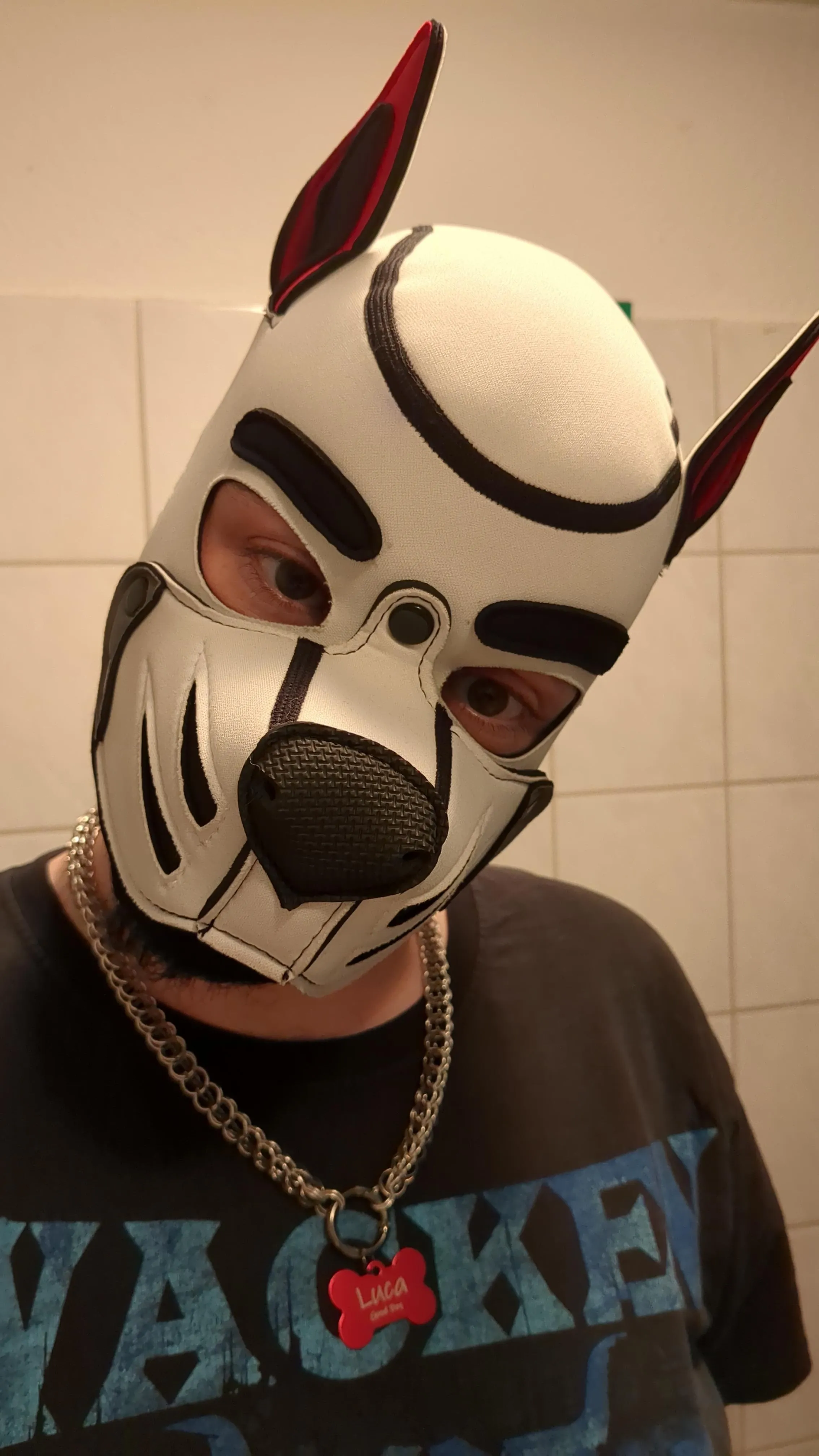 Awoo! Made my own pup chain