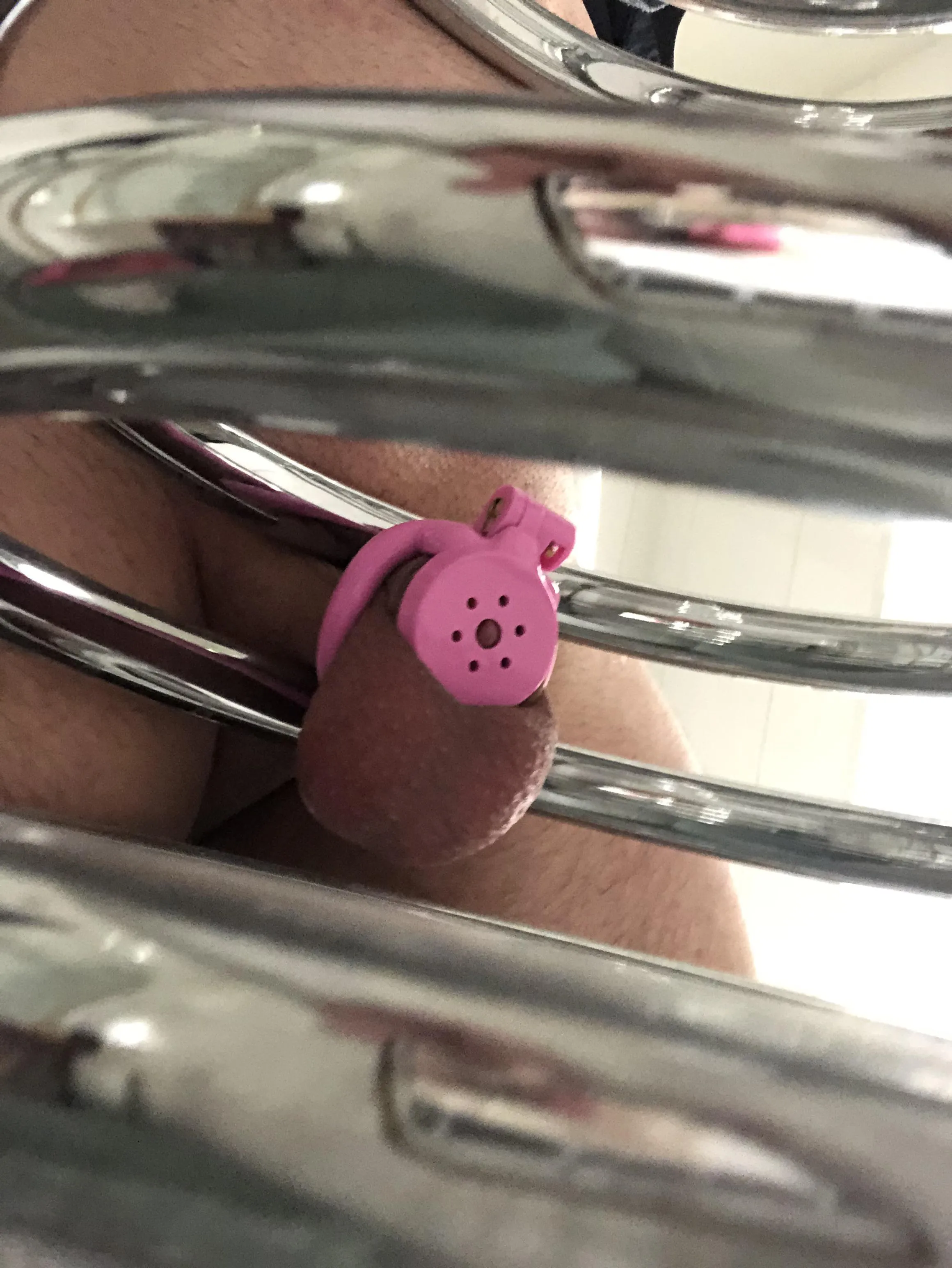 Stay locked to the ever warming radiator, or risk trying to break free?