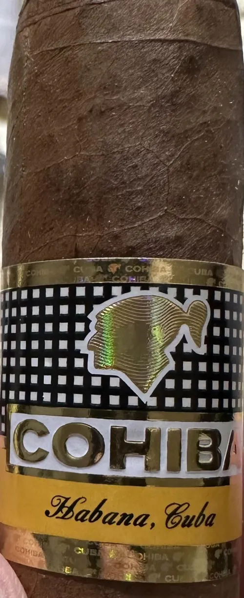 This is the only new CHB embossing