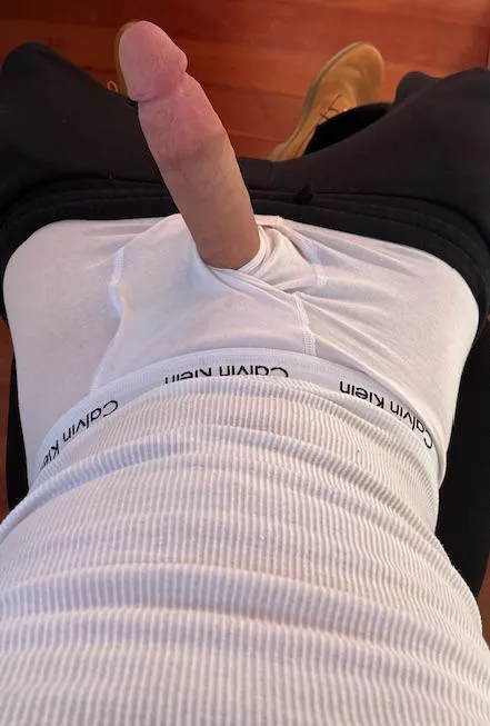 23yo Hung white king for older slutty big booty hoes