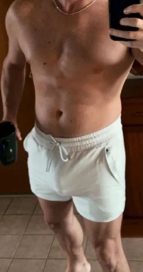 35 Charlotte County. Hung fit good looking professional. Looking for a fun couple under 40.