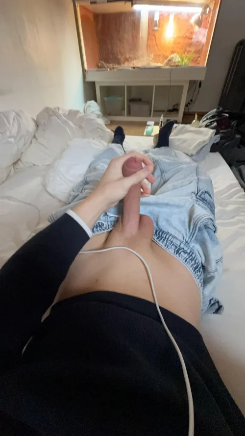 any volunteers to bounce on it?