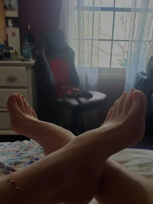 Drop to your knees and worship these long, sexy toes. [OC]  Snpcht  missyqgd