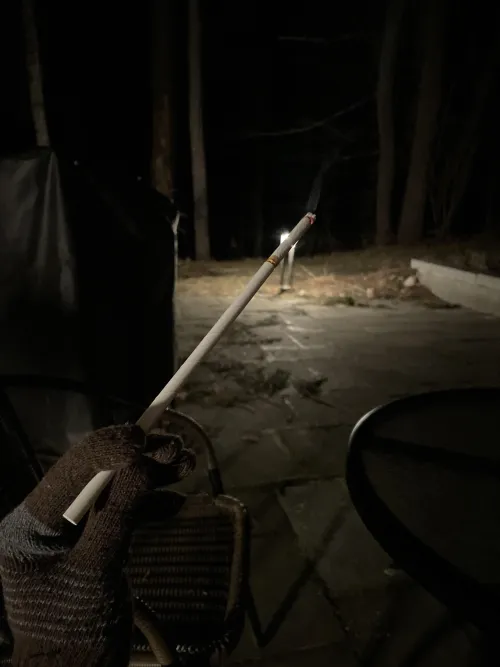 Spirit Black and Staring into the Forest