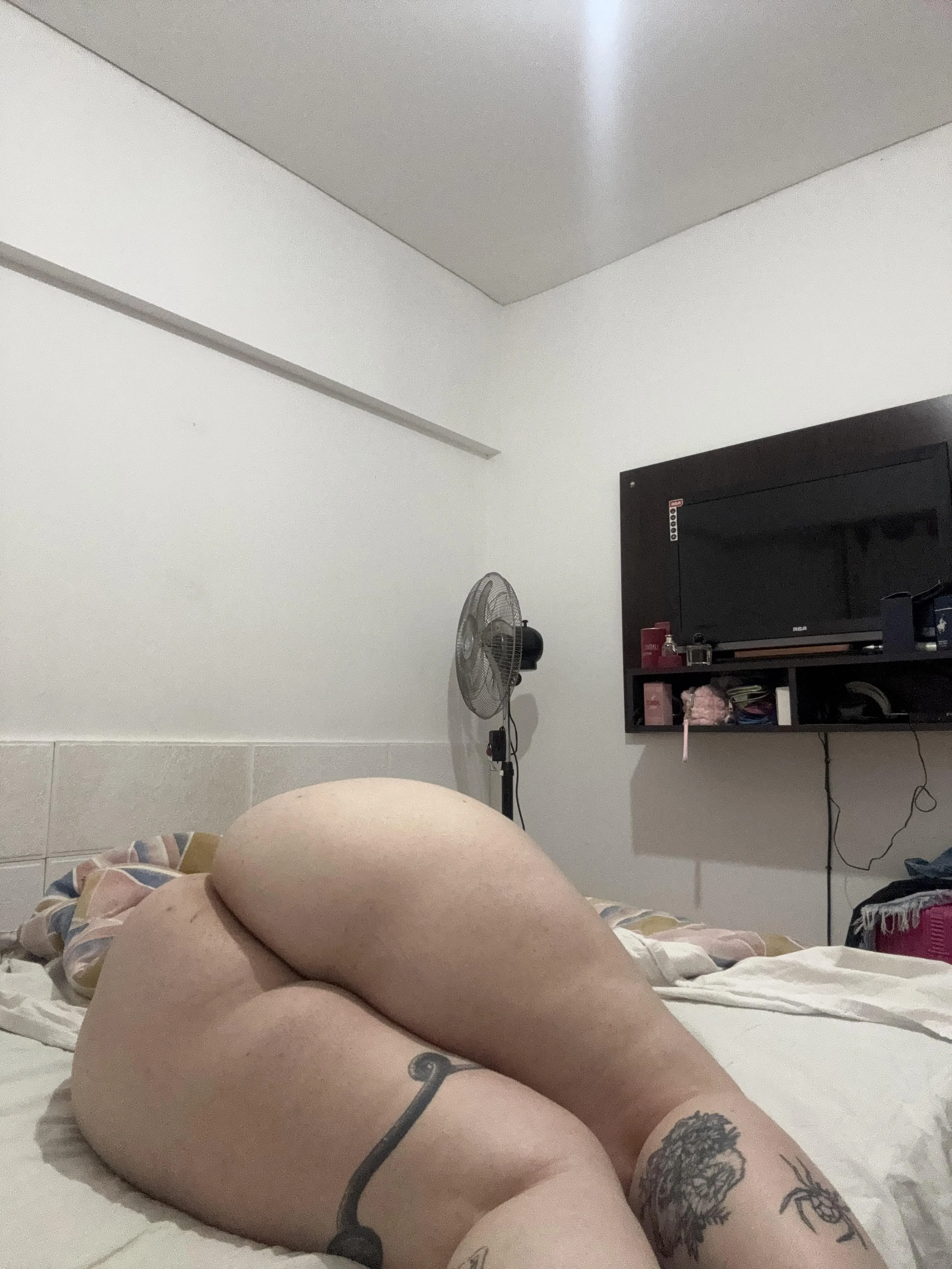 Describe me with 2 words now