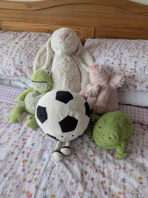 My current plushie collection