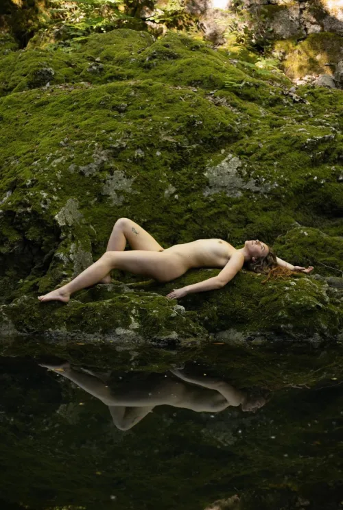 Reflected silhouette