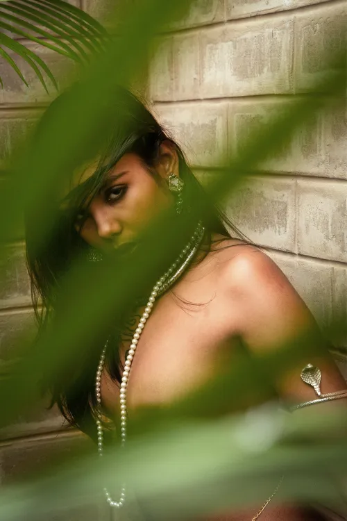 The View of a Dreamer