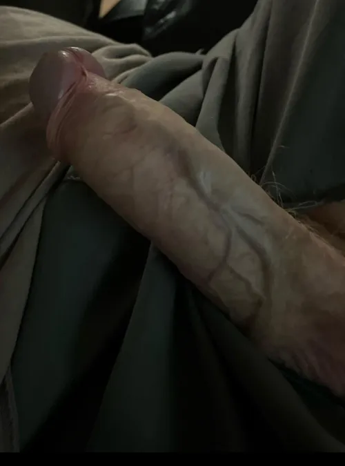 (54) grandpas little mate got a bit angry this morning!!