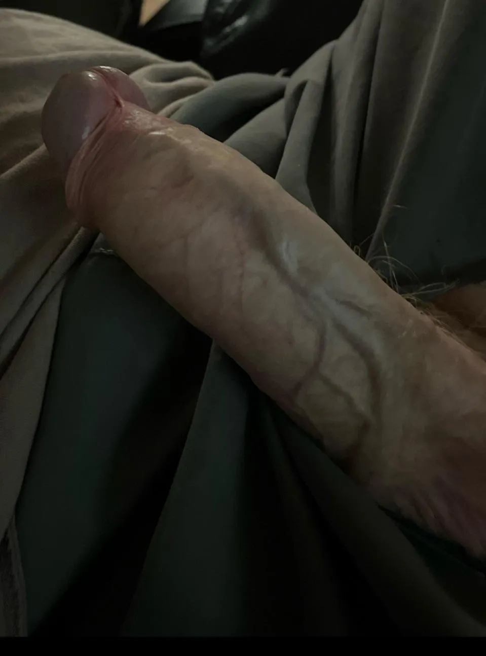 (54) grandpas little mate got a bit angry this morning!!